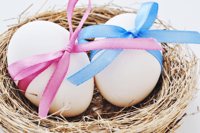 eggs law fertility attorney raleigh nc