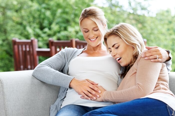 Surrogacy Gestational Birthmother Raleigh Adopt Child